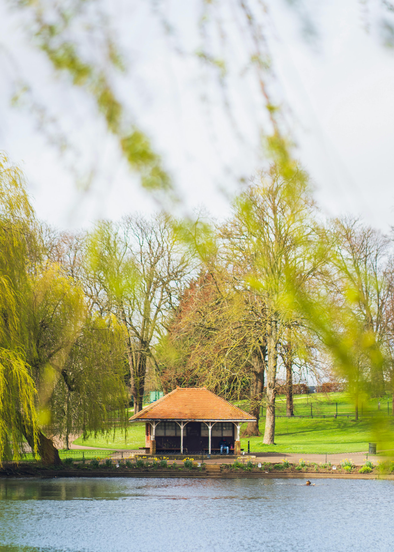 Park pavilion beside a lake framed by willow trees